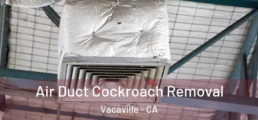  Air Duct Cockroach Removal Vacaville - CA