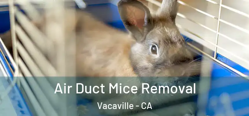 Air Duct Mice Removal Vacaville - CA