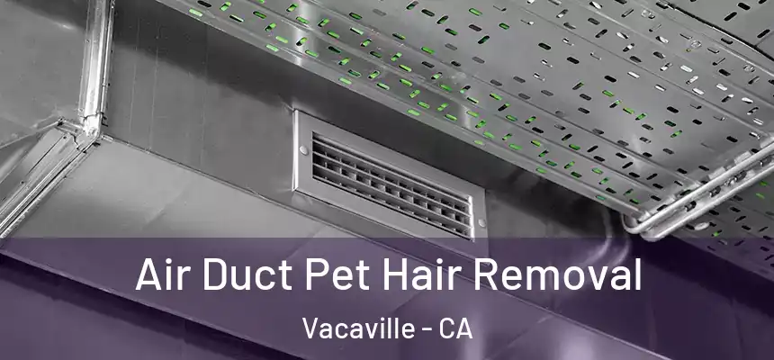  Air Duct Pet Hair Removal Vacaville - CA