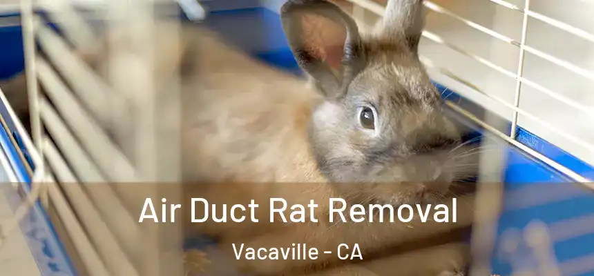 Air Duct Rat Removal Vacaville - CA