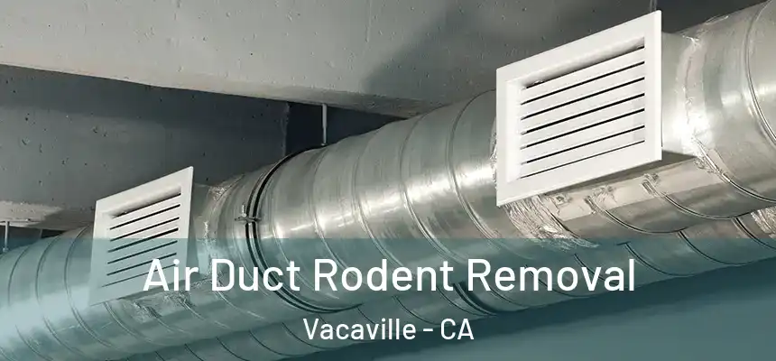 Air Duct Rodent Removal Vacaville - CA