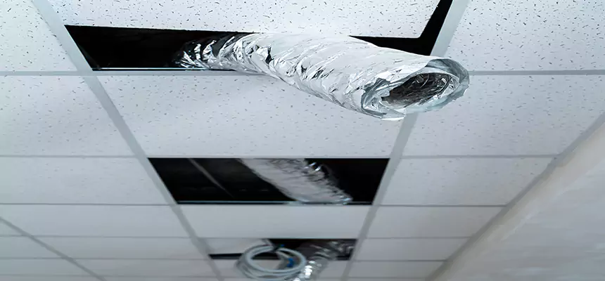 Affordable HVAC Sanitizing After Pest Removal in Vacaville