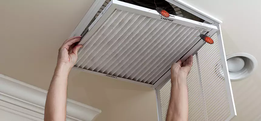 Our Insect Removal from Air Ducts Services in Vacaville, CA