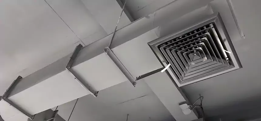 Our Pest Removal From Ducts Services in Vacaville, CA