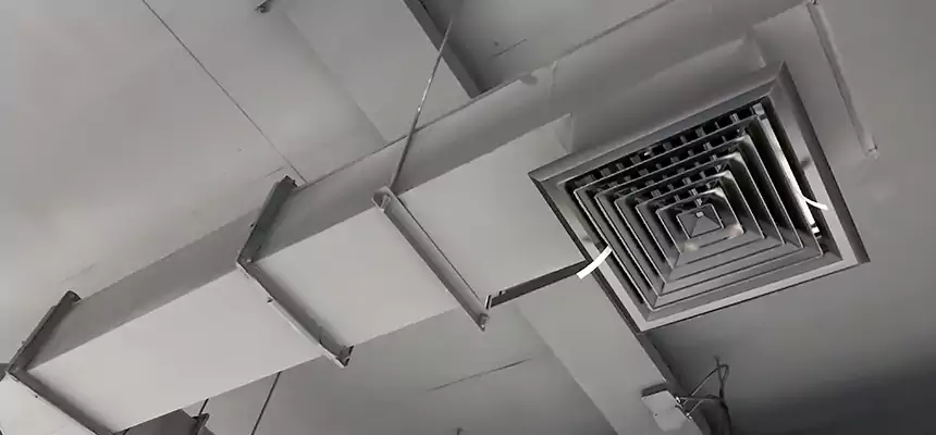 Our Rodent Droppings In Vents Services in Vacaville, CA