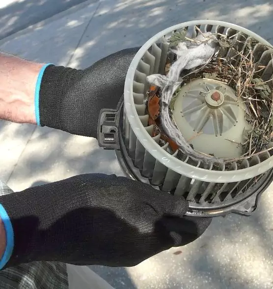 About Air Duct Rat Removal in Vacaville, CA