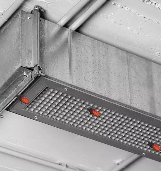 Affordable Insect Removal from Air Ducts in Vacaville, CA