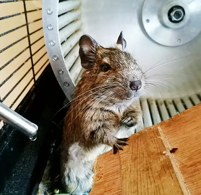 Why Homeowners & Businesses Trust Us Vacaville, CA?