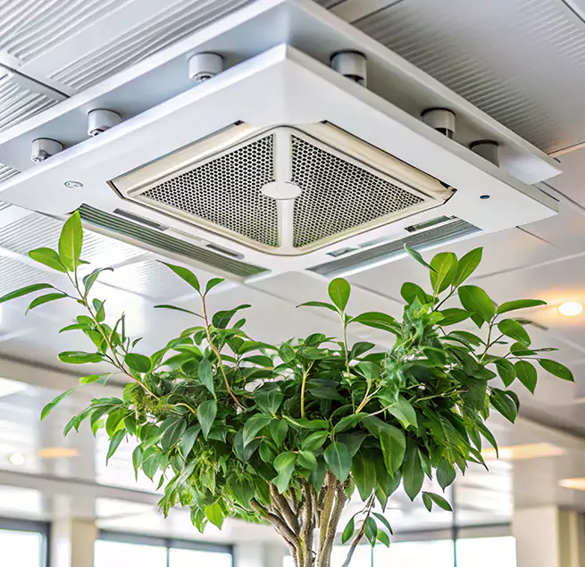 Why Homeowners & Businesses Trust Us in Vacaville, CA?