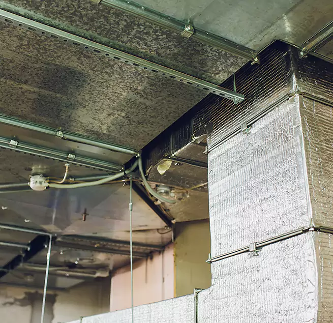 Why Homeowners & Businesses Trust Us in Vacaville, CA?