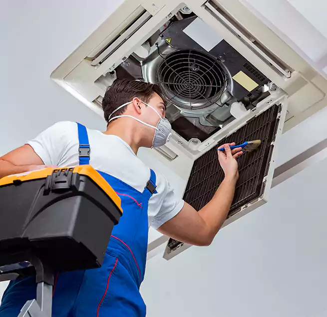 Why Homeowners & Businesses Trust Us in Vacaville, CA?